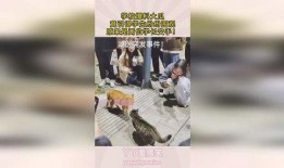 最新大瓜爆料校园,揭秘最新大瓜背后的惊人真相